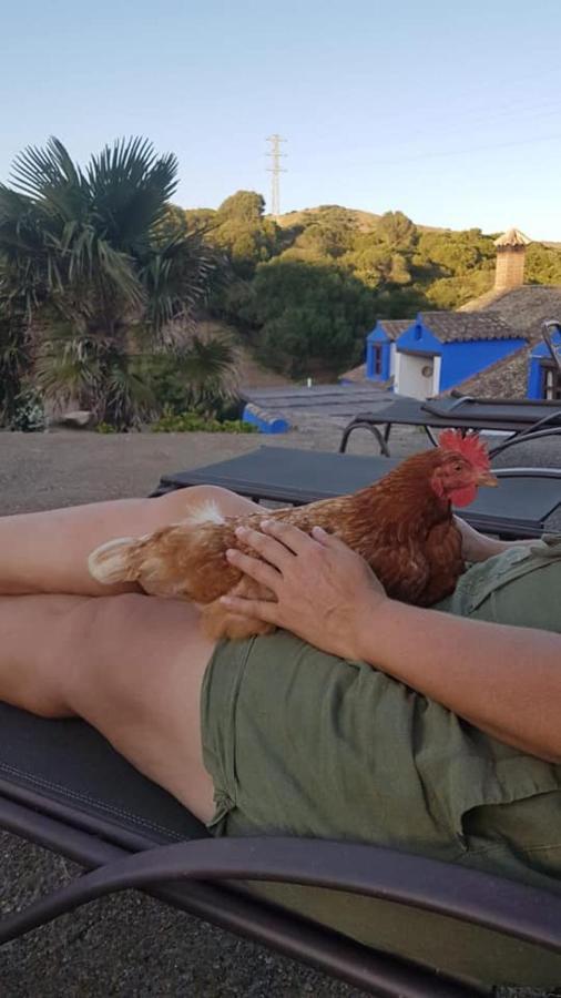 Finca La Cantarera طريفة المظهر الخارجي الصورة